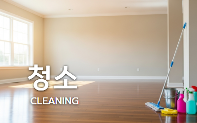 홈 클리닝 서비스